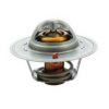 FISPA 94.137 Thermostat, coolant